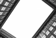 Científicos cultivan bacterias en materiales de construcción: ¿cuál es el objetivo?